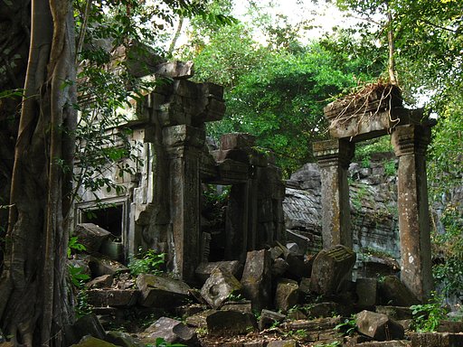 遺跡が語る植物力