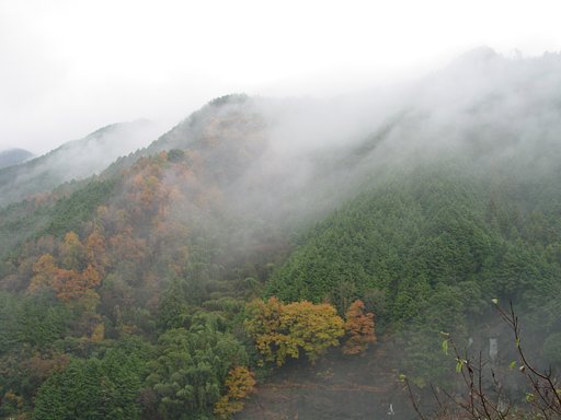 雨上がりの朝