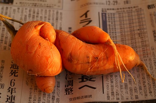 悩ましいニンジン