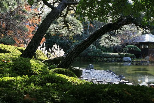 晩秋の慶沢園