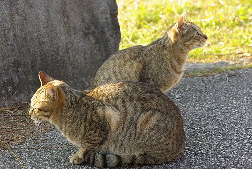 けんか