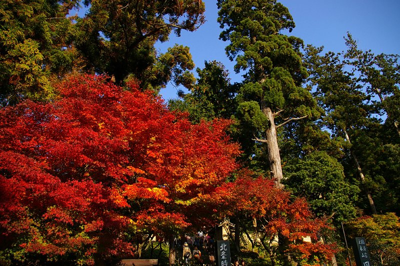 瑞鹿山円覚興聖禅寺