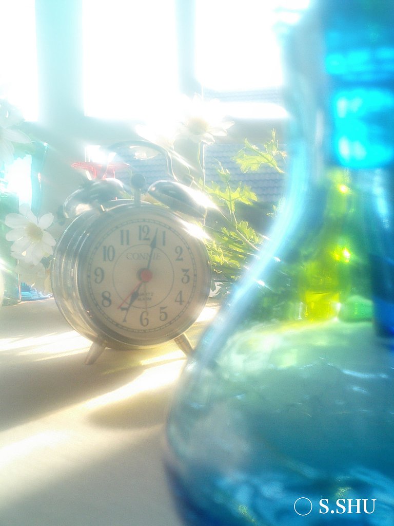 朝の光