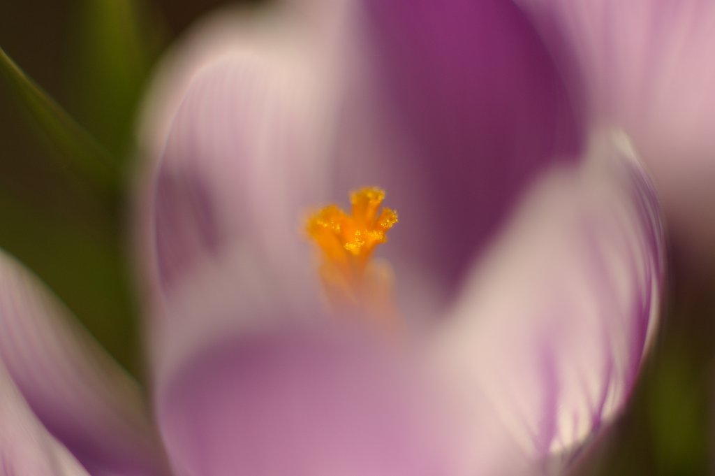 SMC-TAKUMAR 50mm F1.4&KENKO Pz-AF UNIPLUS TUBE25