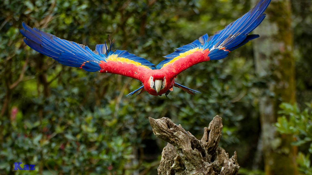 Costa Rica 28