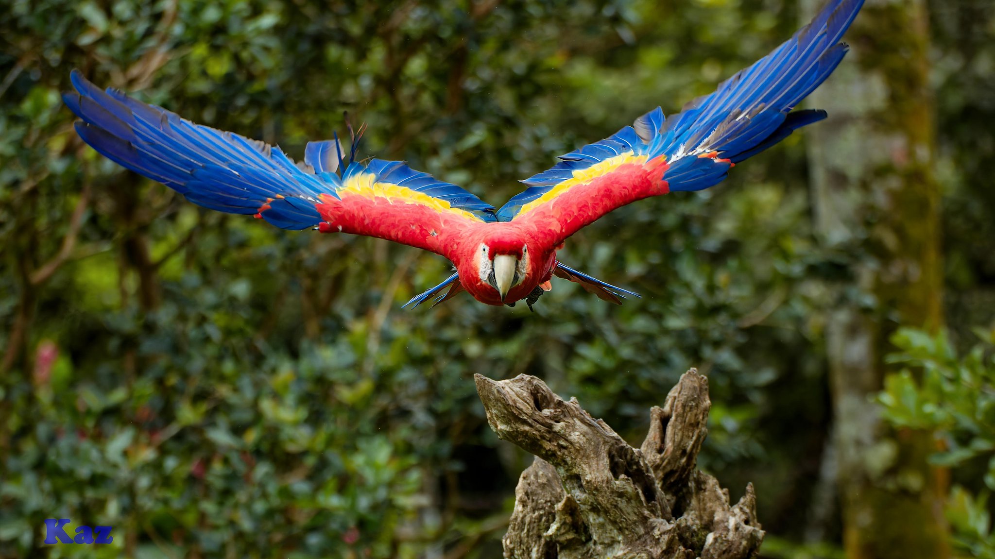 Costa Rica 28