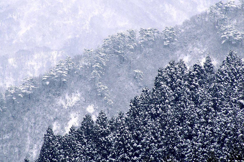 早春の雪景