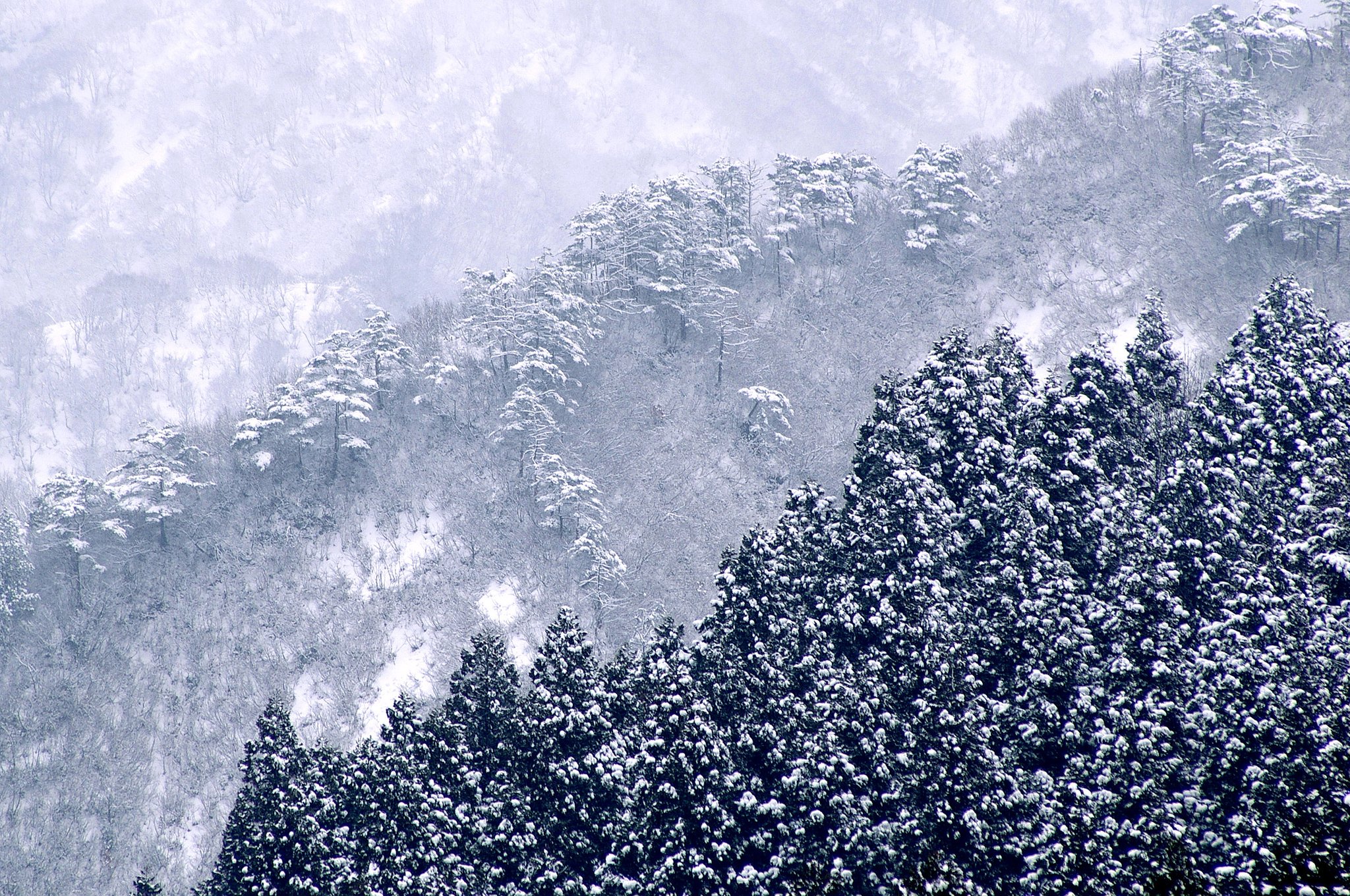 早春の雪景