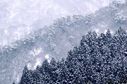 早春の雪景