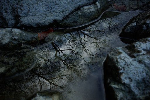 水たまり
