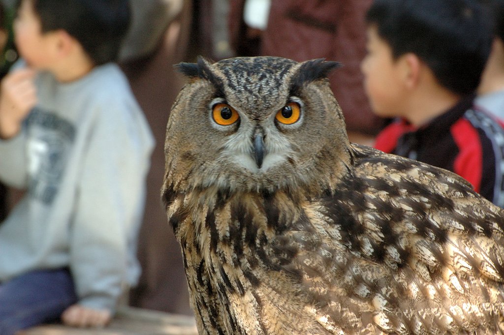 ん？なに見てんだよ？
