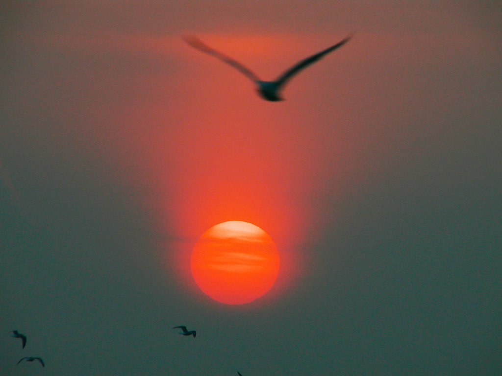 うす雲をフィルターに夕陽