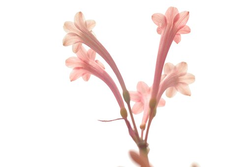 うしろ姿