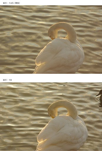 シュタインハイル　200mm　ｆ4.5