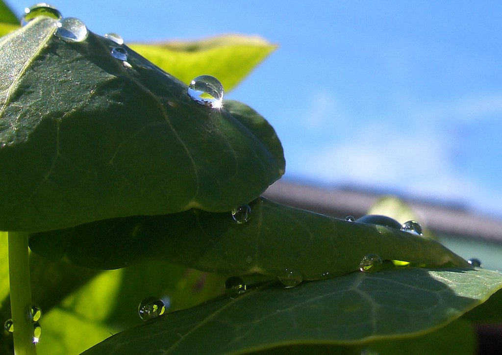 雨あがり