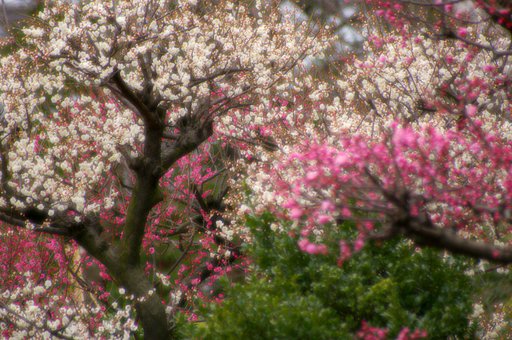 3月5日の写真