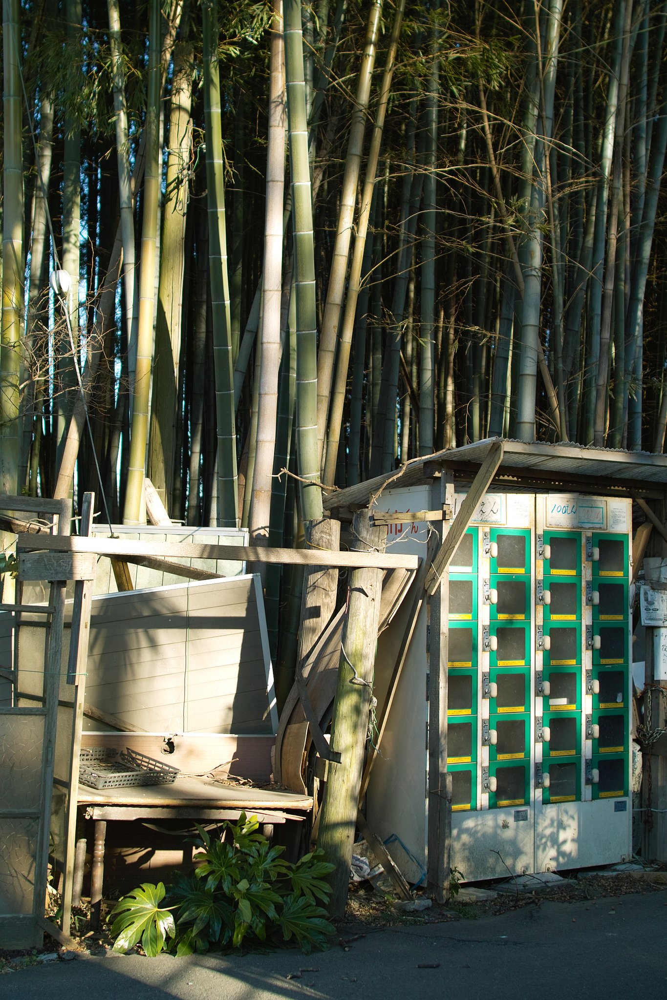 斜光