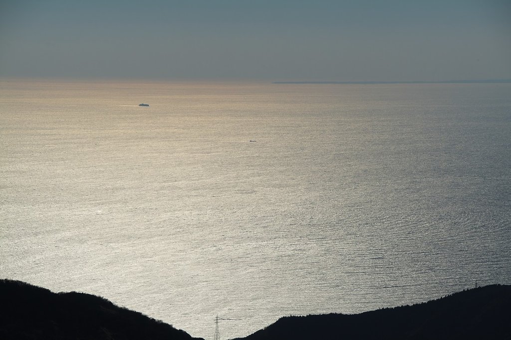 駿河湾