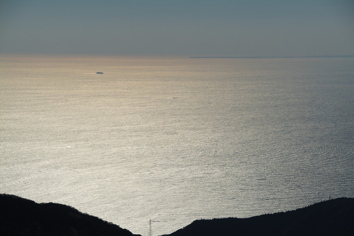 駿河湾