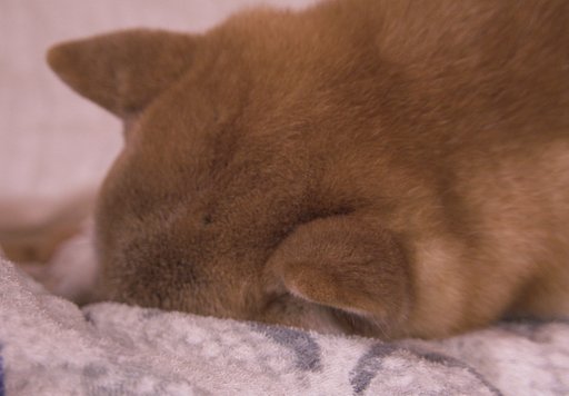 眠いっ！