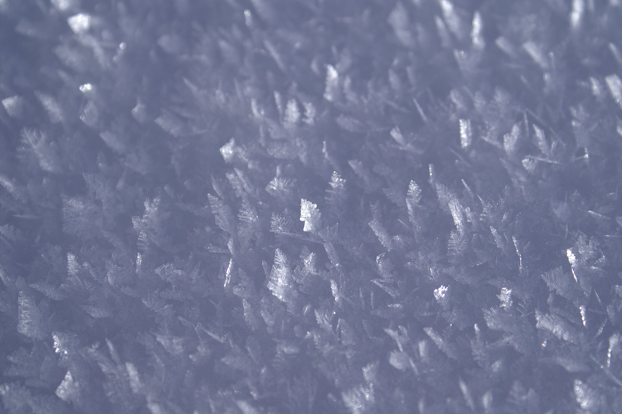 八ヶ岳の雪