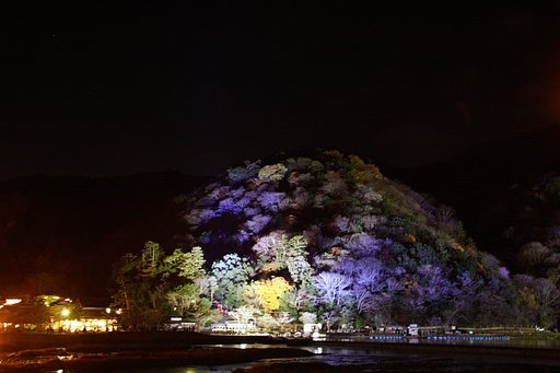 嵐山の花灯路