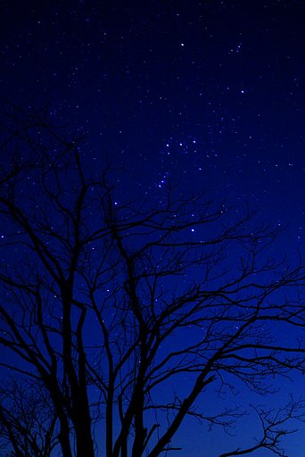夜空