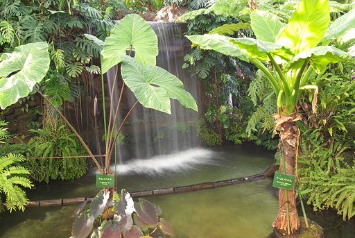 夢の島熱帯植物園
