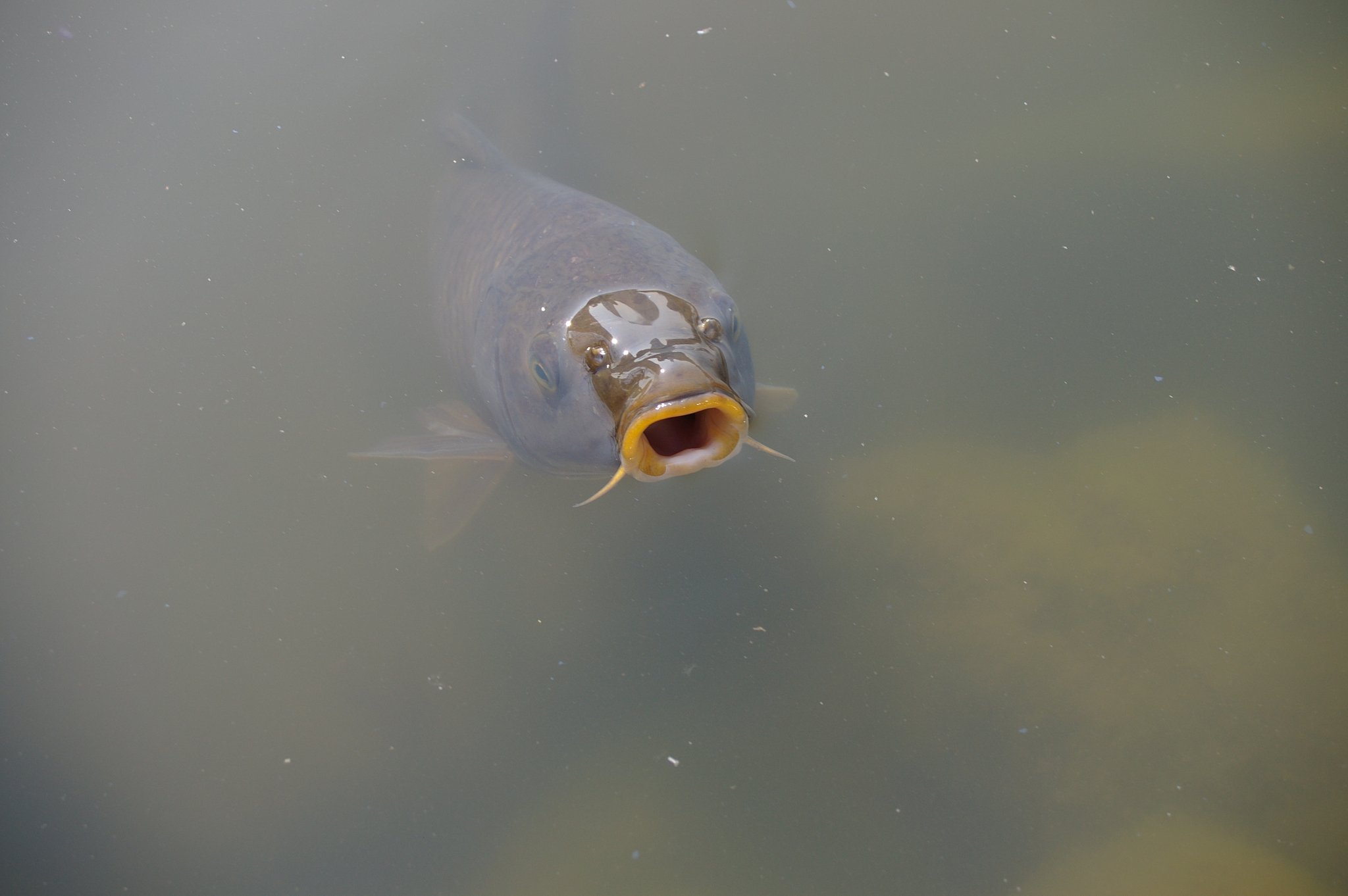 水ぬるむ