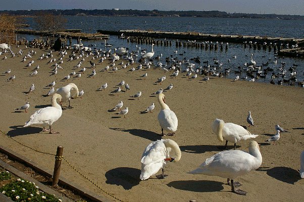 お気に入りの場所