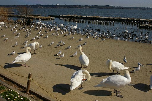 お気に入りの場所