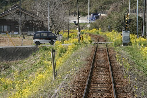 【花】ローカル線車窓より