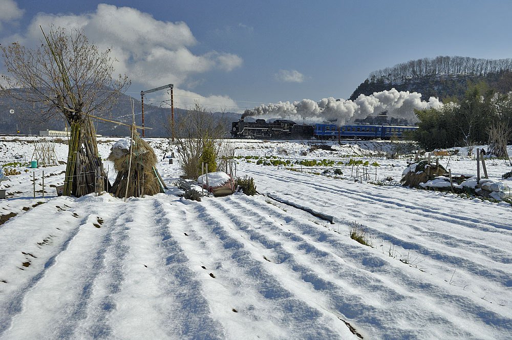 雪景色と蒸気