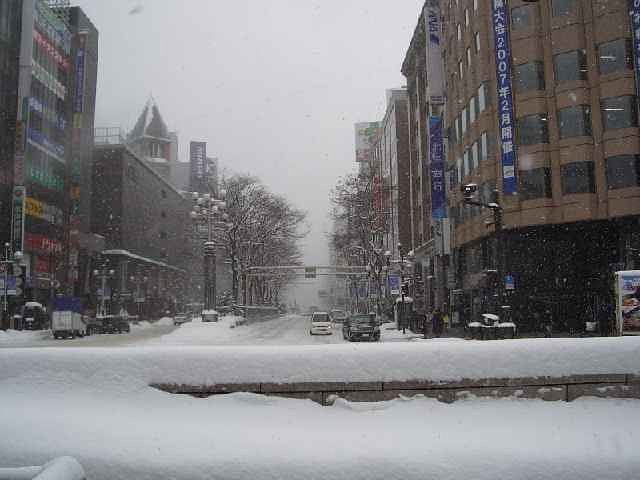 大雪のあと・・