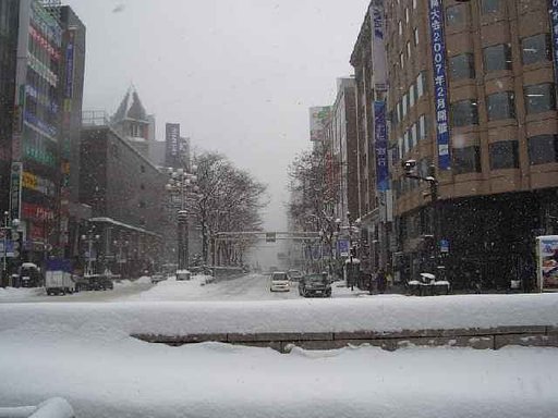 大雪のあと・・