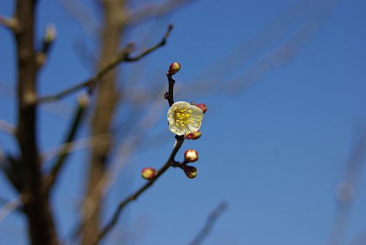 PENTAX　F35-80ｍｍ