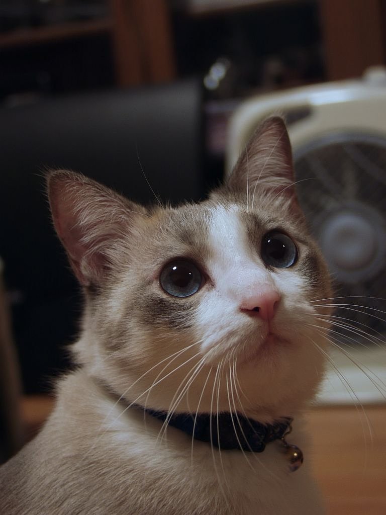 久しぶりにE-10で