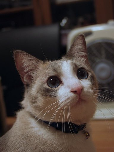 久しぶりにE-10で
