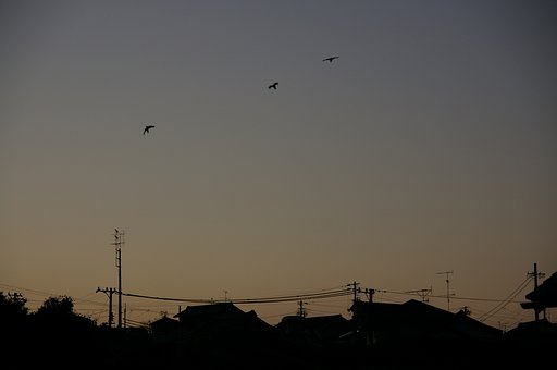 朝の訪れ
