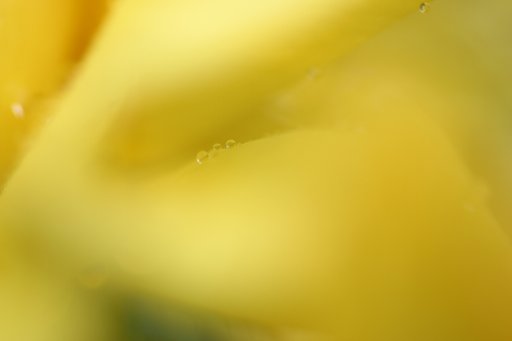 雫