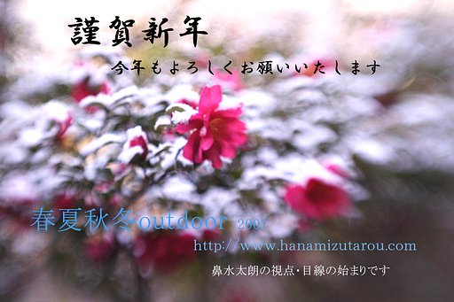 沈没しますので・・・
