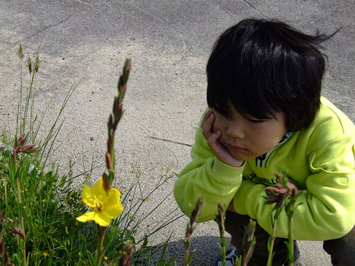 [写楽]幼児・想う