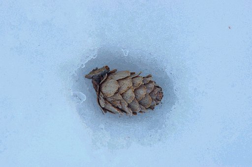 落し物