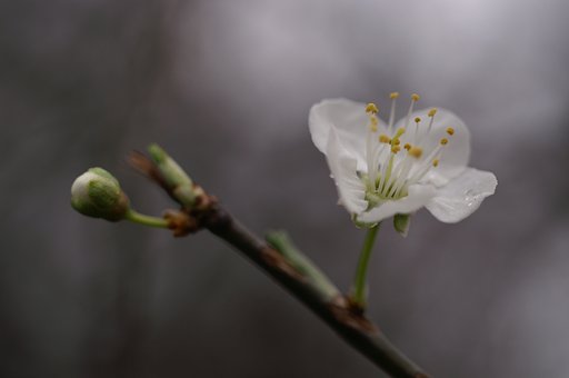 一輪ほどの暖かさ