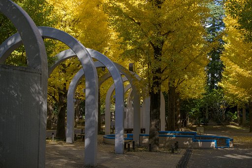 黄葉の公園