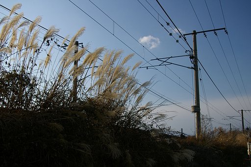 【ＭＦＳ】電車通らないかなぁ〜