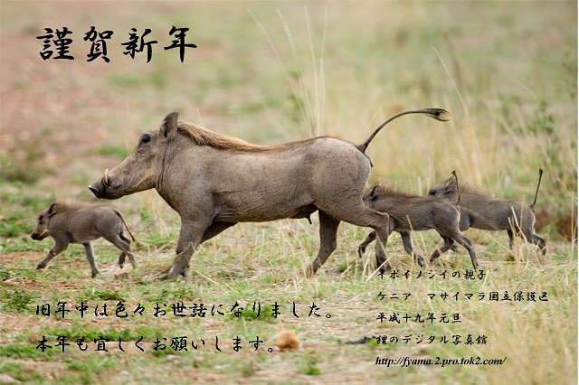 謹賀新年