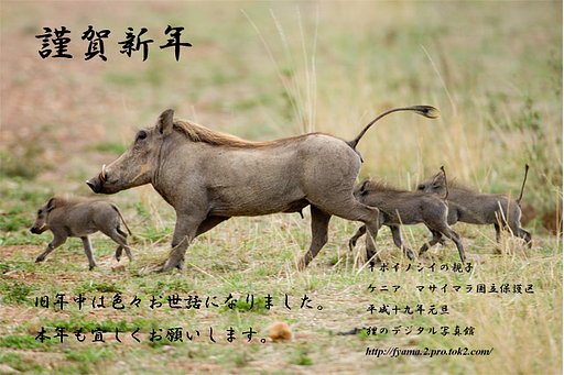 謹賀新年