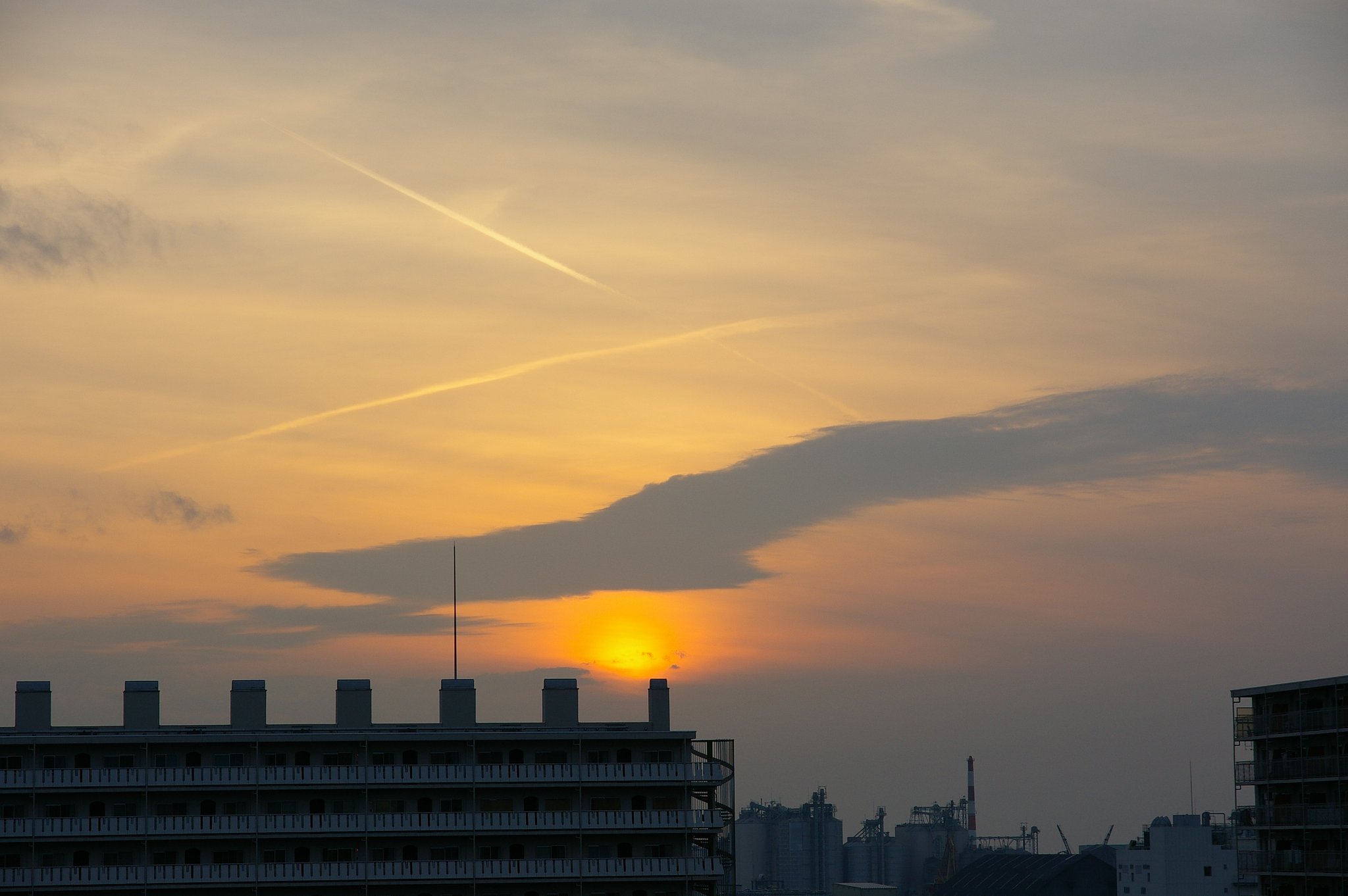 新年の夕日