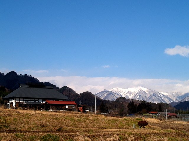 のどかな日